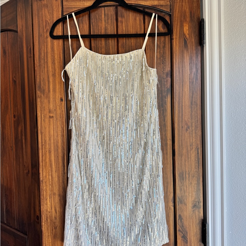 Francesca's Collections Silver Sequin Top Bule Rain Champagne Fringe Mini Dress
